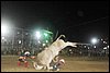 IMG_0335.JPG