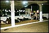 IMGP2467.JPG