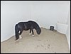 SAM_8939.JPG