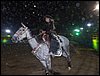 SAM_9019.JPG