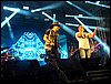 101_0227.JPG