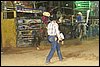 IMG_0660.JPG