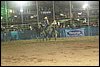 IMG_0685.JPG