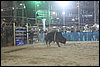 IMG_0699.JPG