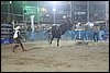 IMG_0700.JPG