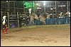 IMG_0702.JPG