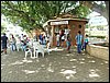 P3310036.JPG