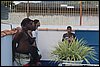 IMG_1779.JPG