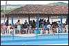 IMG_1785.JPG