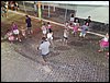 SAM_0579.JPG