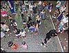 SAM_0581.JPG