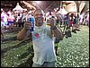 SAM_0669.JPG