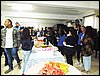 fanf (18).JPG