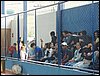 fanf (45).JPG