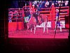 100_2192.JPG