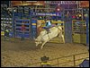 100_2193.JPG