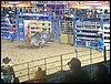100_2195.JPG