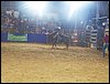 100_2741.JPG