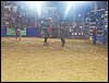 100_2742.JPG