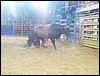 100_2744.JPG