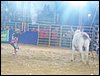 100_2746.JPG