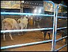 100_2748.JPG