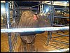 100_2749.JPG