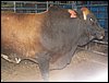 100_2753.JPG