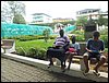 PC100006.JPG