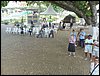PC100062.JPG