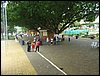 PC100063.JPG