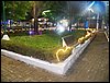 102_0050.JPG