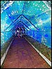 102_0064.JPG