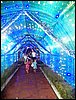 102_0065.JPG