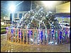 102_0080.JPG