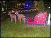 102_0132.JPG