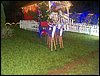 102_0137.JPG