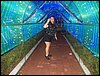 102_0239.JPG