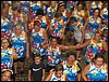 100_1071.JPG
