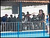 100_1356.JPG