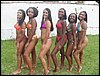 100_1424.JPG