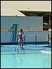 P2100045.JPG