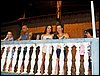 100_2281.JPG