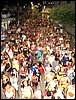 100_2410.JPG