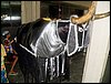 100_2738.JPG