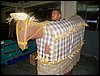 100_2747.JPG