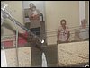 100_2810.JPG