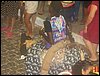 100_2860.JPG