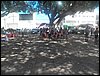 100_0202.JPG