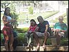 100_0261.JPG